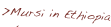 shapeimage_12_link_2