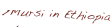 shapeimage_12_link_2