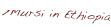 shapeimage_12_link_4